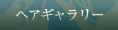 ヘアギャラリー